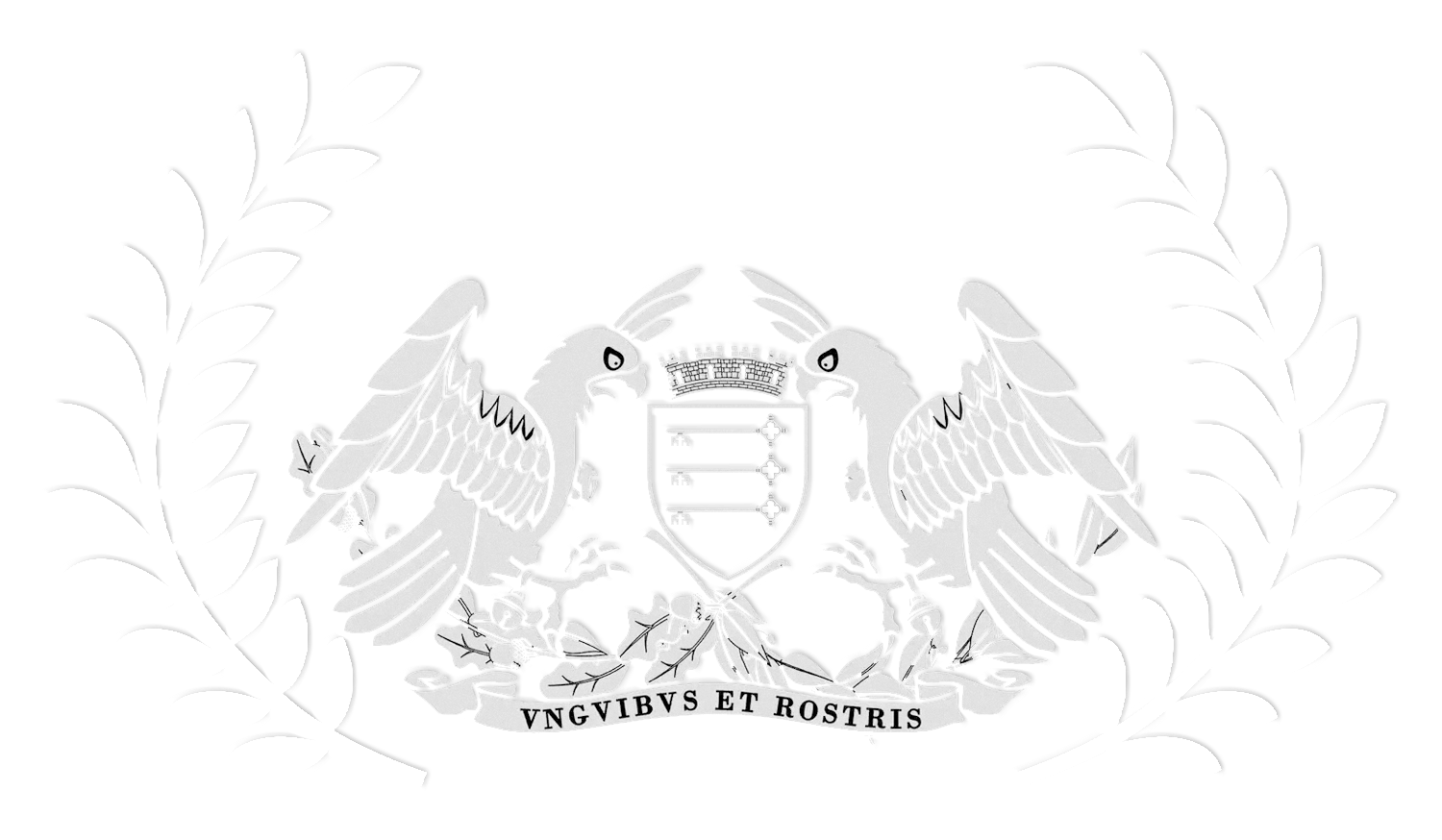 AIFF - Avignon International Film Festival - 2024