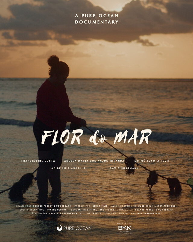 Flor Do Mar